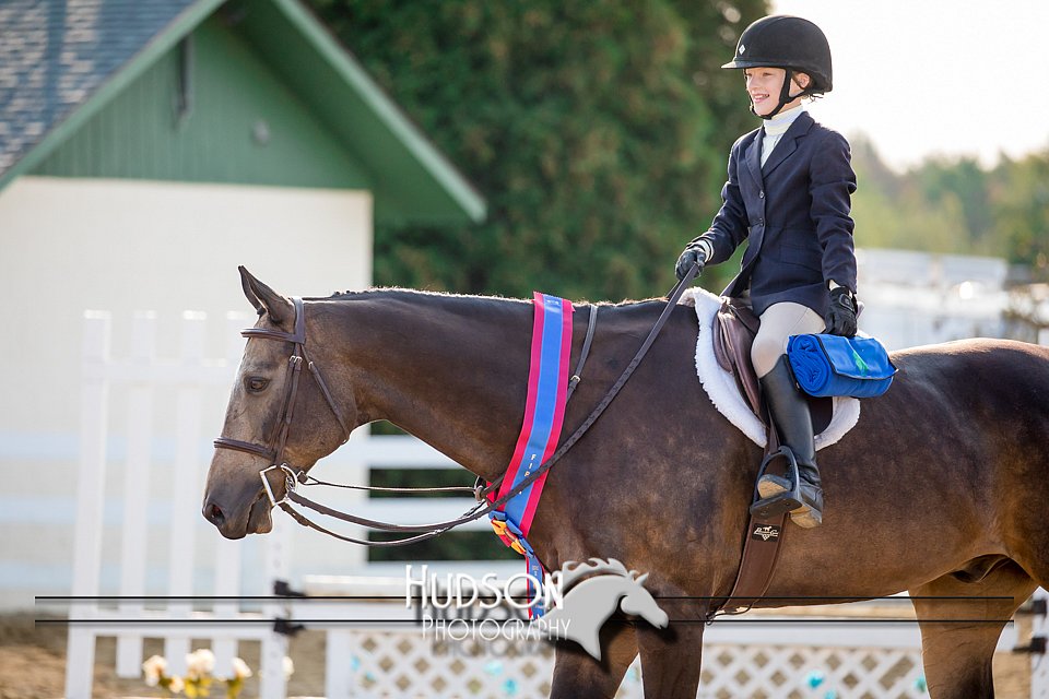 4H-District-17-2324.jpg