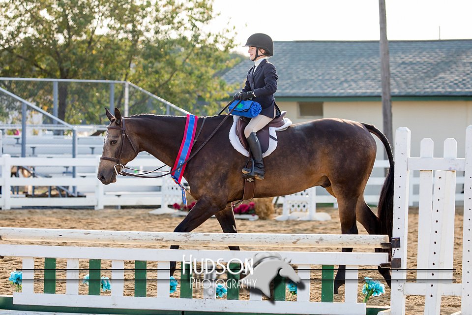 4H-District-17-2325.jpg