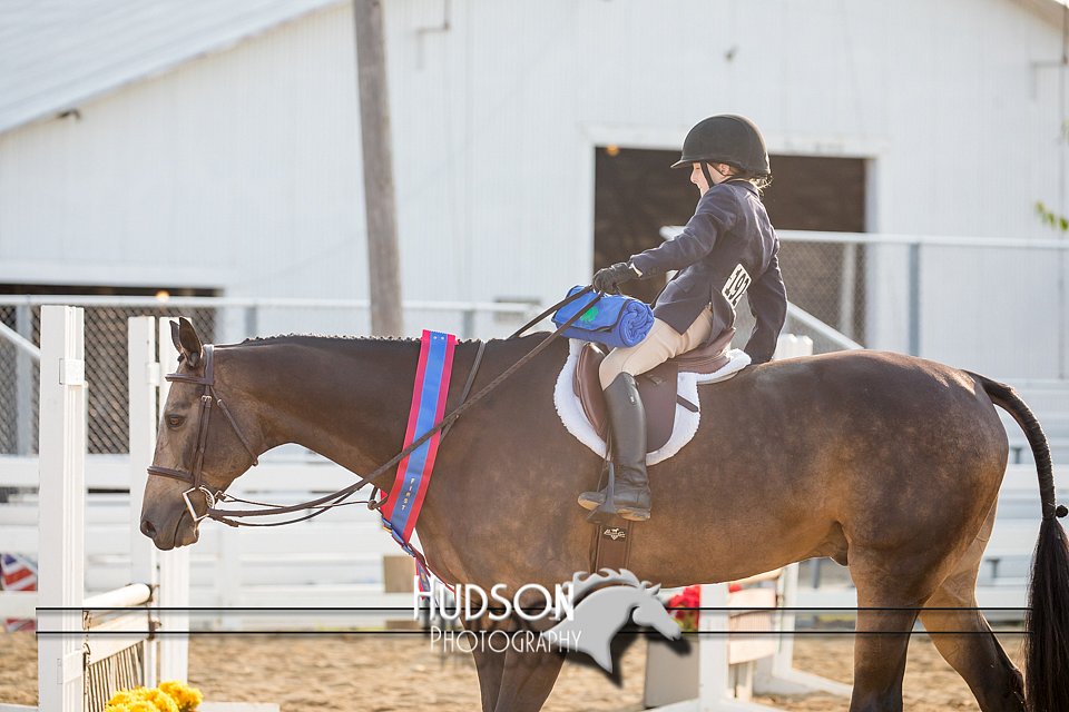 4H-District-17-2328.jpg