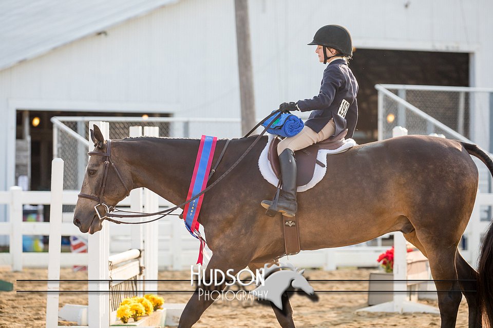 4H-District-17-2330.jpg