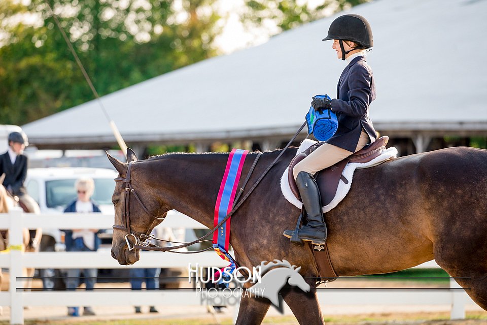 4H-District-17-2332.jpg