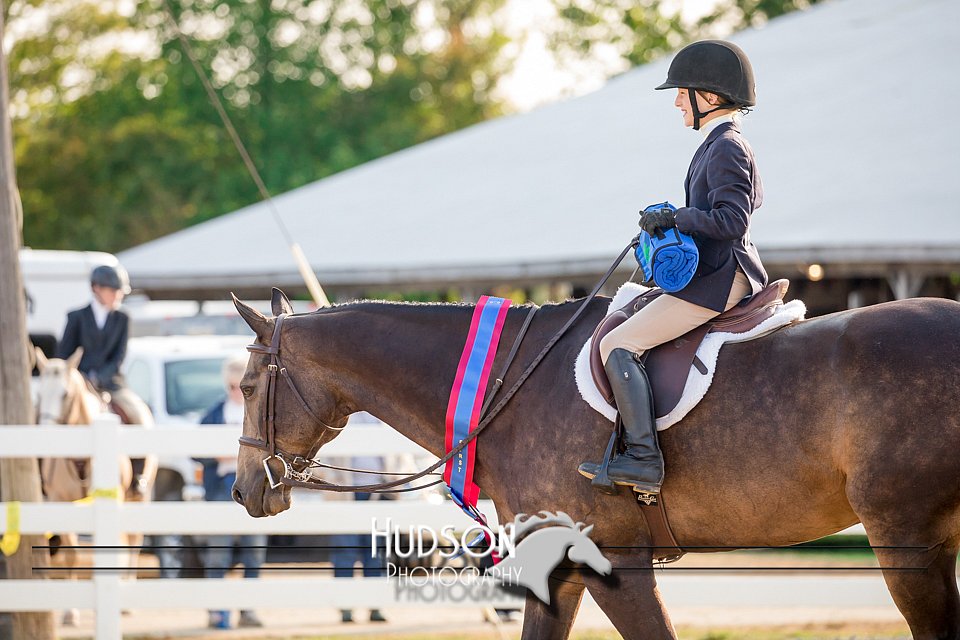 4H-District-17-2333.jpg