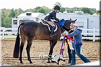 4H-District-17-2312.jpg