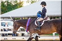 4H-District-17-2331.jpg