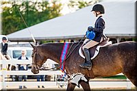 4H-District-17-2332.jpg