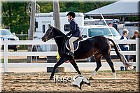 4H-District-17-2341.jpg