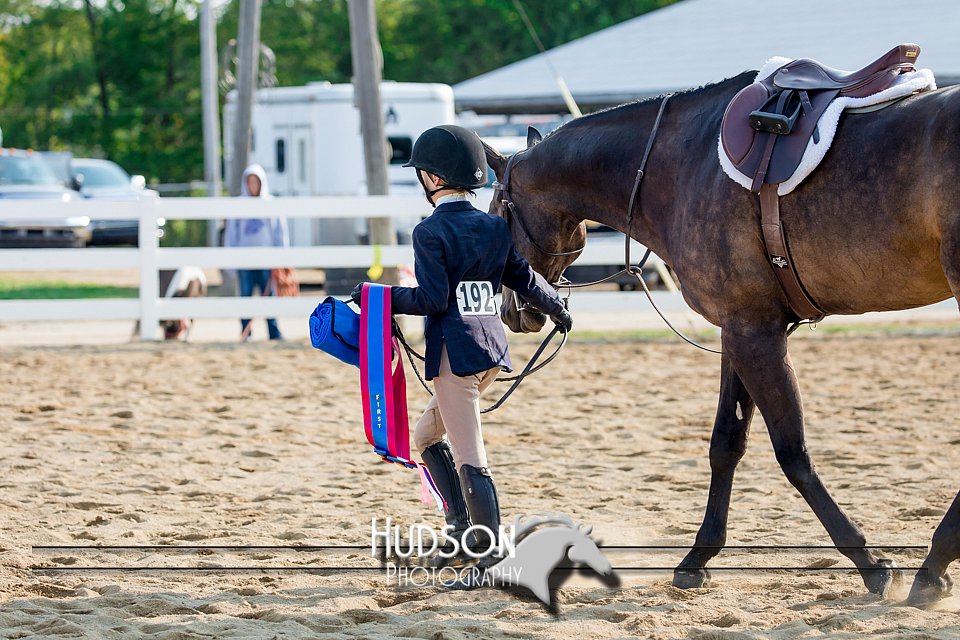 4H-District-17-2365.jpg