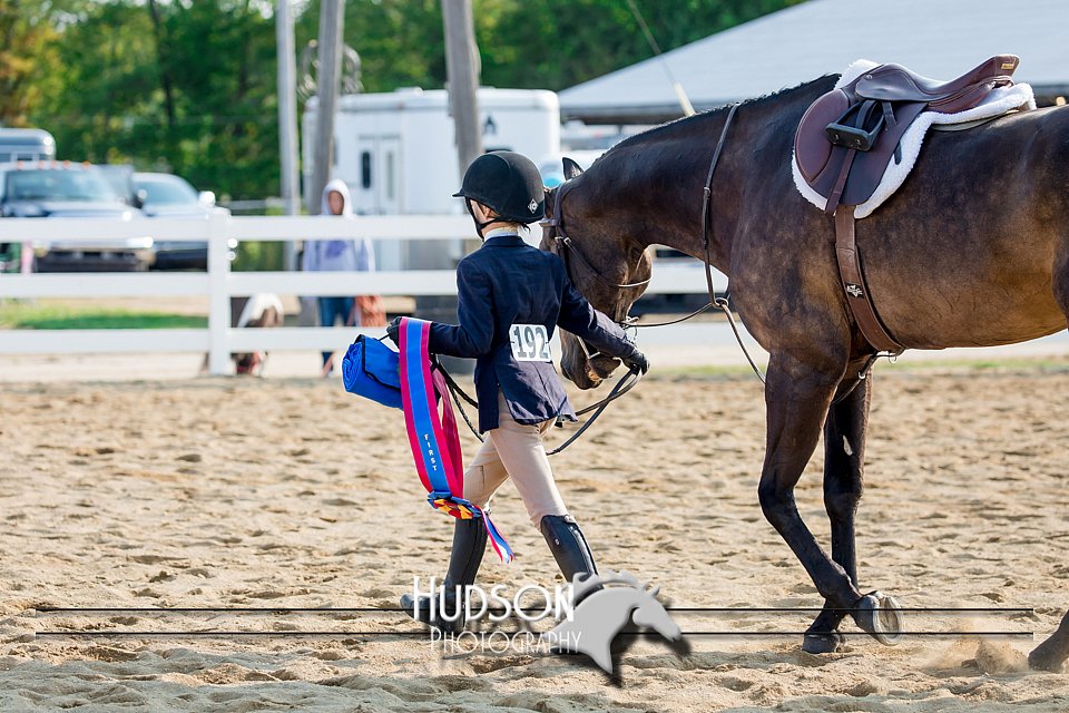 4H-District-17-2366.jpg