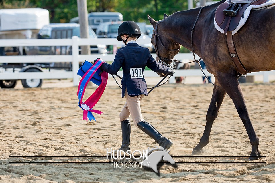 4H-District-17-2367.jpg