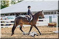 4H-District-17-2343.jpg