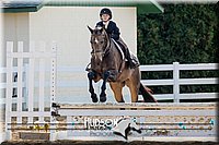 4H-District-17-2345.jpg