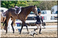 4H-District-17-2349.jpg