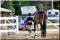 4H-District-17-2368.jpg