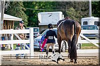 4H-District-17-2369.jpg