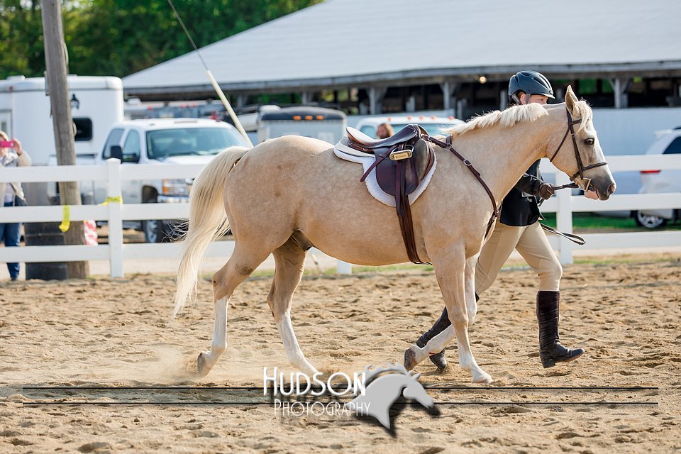 4H-District-17-2392.jpg