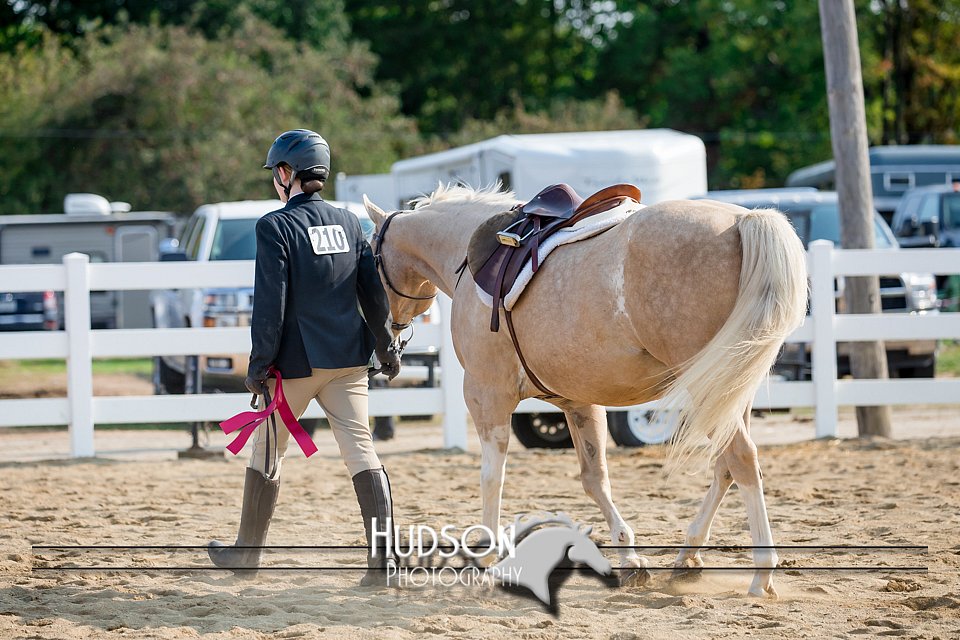 4H-District-17-2405.jpg