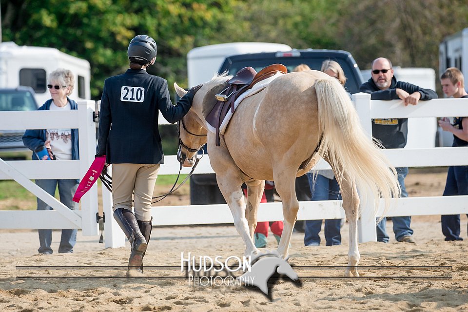 4H-District-17-2406.jpg