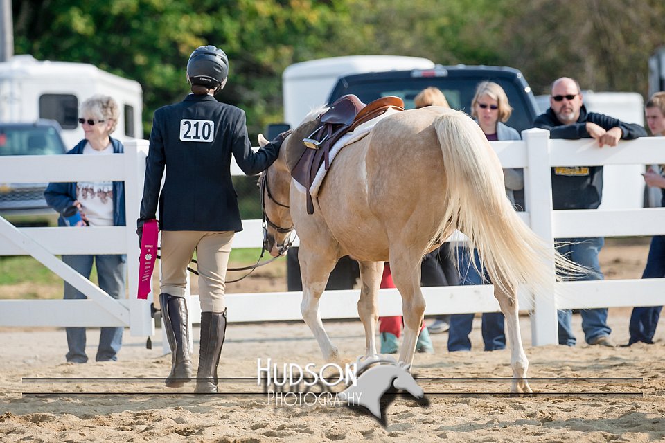 4H-District-17-2407.jpg