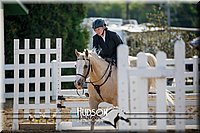 4H-District-17-2384.jpg