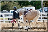 4H-District-17-2405.jpg