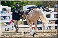 4H-District-17-2406.jpg