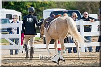 4H-District-17-2407.jpg