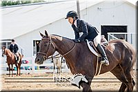 4H-District-17-2415.jpg