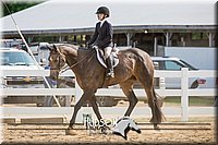 4H-District-17-2416.jpg