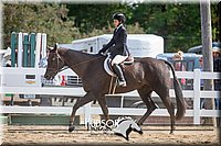 4H-District-17-2417.jpg