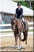 4H-District-17-2418.jpg