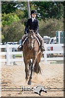 4H-District-17-2419.jpg