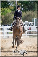 4H-District-17-2420.jpg