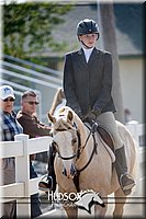 4H-District-17-2438.jpg