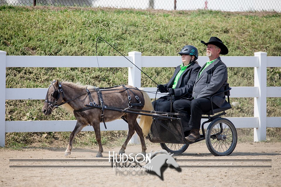 4H-District-17-2468.jpg