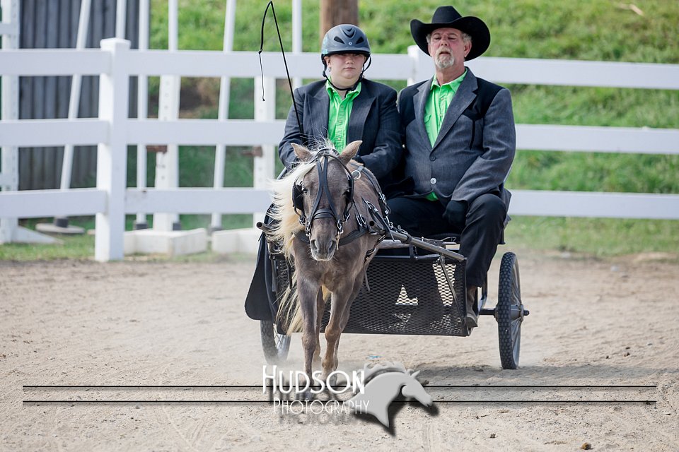 4H-District-17-2472.jpg