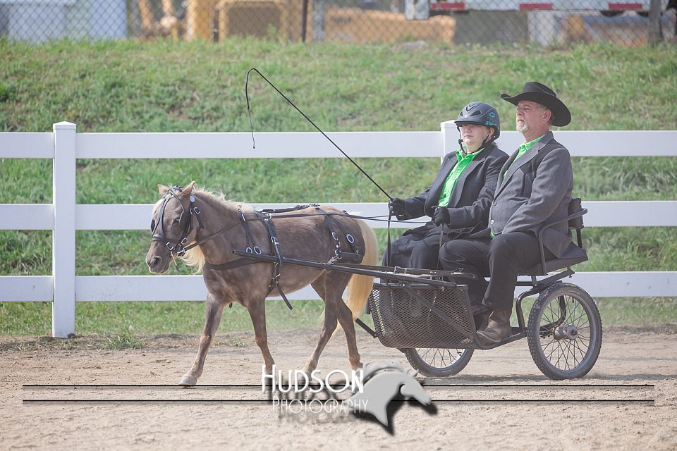 4H-District-17-2476.jpg