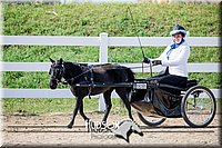4H-District-17-2457.jpg