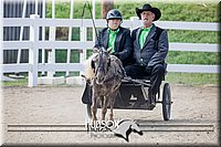 4H-District-17-2471.jpg