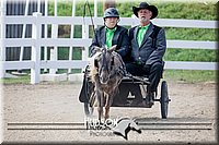 4H-District-17-2472.jpg