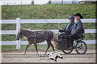 4H-District-17-2475.jpg