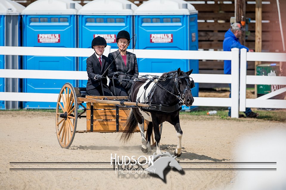 4H-District-17-2518.jpg