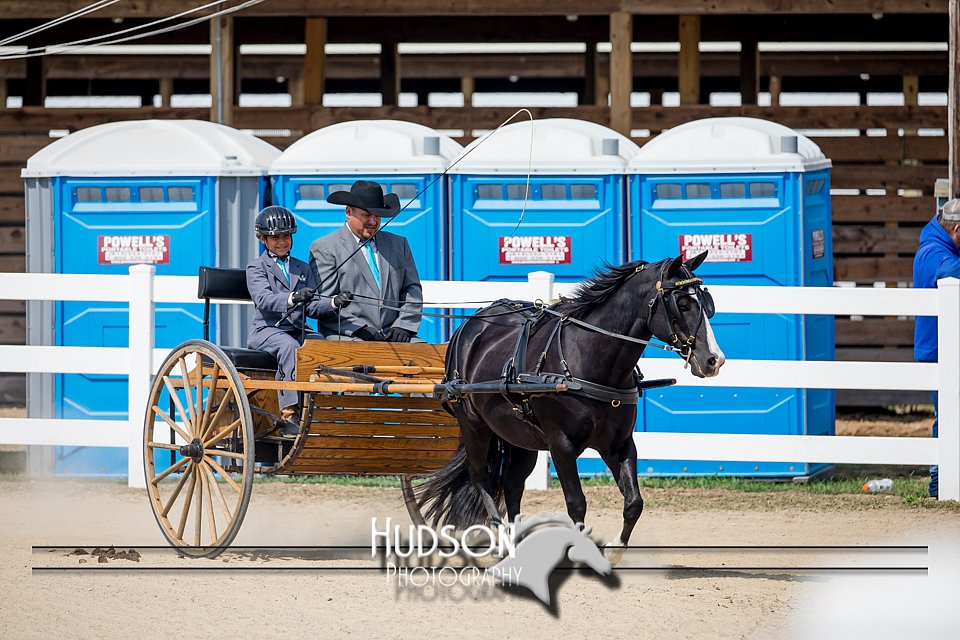 4H-District-17-2519.jpg