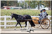 4H-District-17-2480.jpg