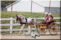 4H-District-17-2484.jpg