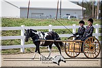 4H-District-17-2487.jpg