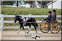 4H-District-17-2488.jpg