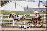 4H-District-17-2493.jpg