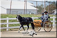 4H-District-17-2495.jpg