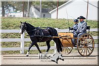 4H-District-17-2497.jpg