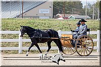 4H-District-17-2498.jpg